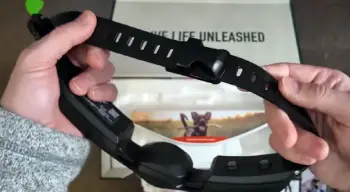 spoton dog collar