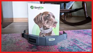 spoton dog collar
