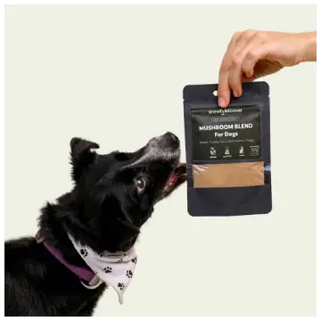 WoofyBloom Mushroom For Dogs