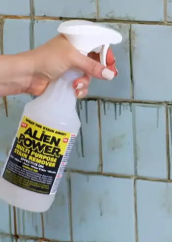 Alien Power Mold Remover