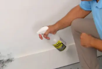 Alien Power Mold Remover