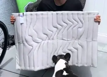 Barkly Cooling Mat
