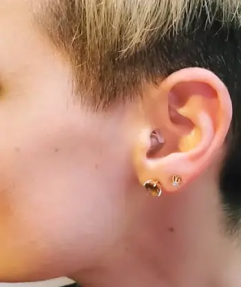 Eargasm High Fidelity Earplugs
