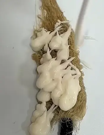 Maree Hair Mask