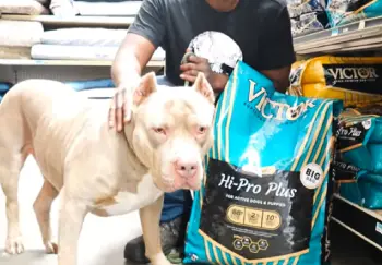 Victor Dog Food