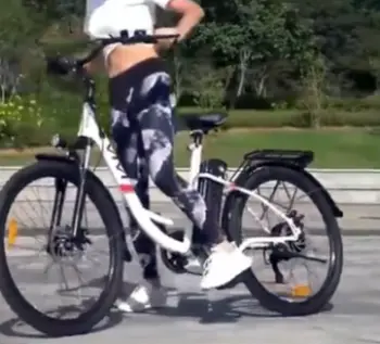 VIVI Electric Bike