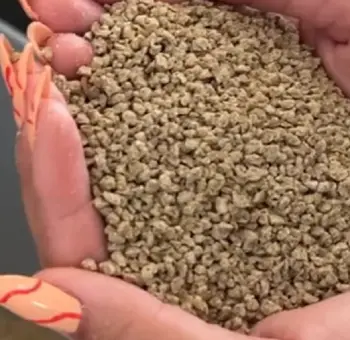 Swheat Scoop