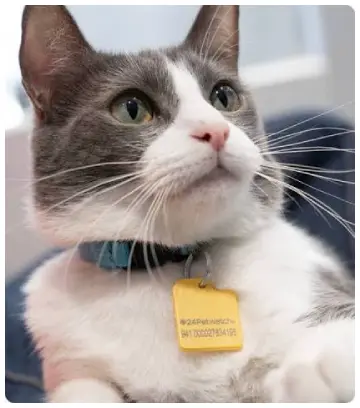 24PetWatch