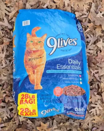 9 Lives