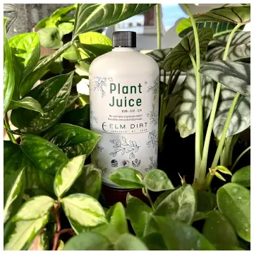 Elm Dirt Plant Juice  