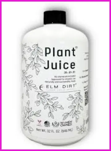 Elm Dirt Plant Juice 