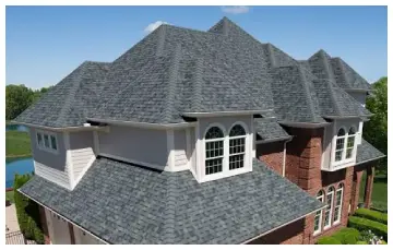 TruDefinition Duration Shingles