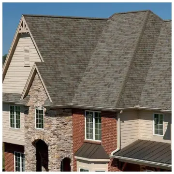 TruDefinition Duration Shingles