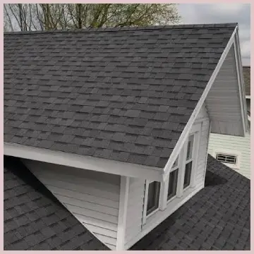 TruDefinition Duration Shingles