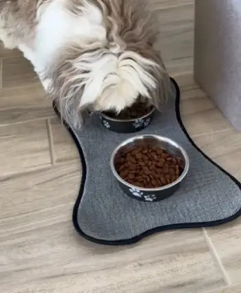 Badlands Ranch  dog food