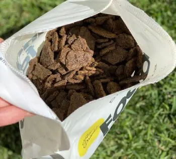  Sundays dog food