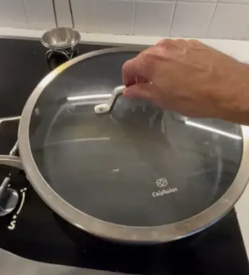 Calphalon Premier