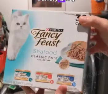 Fancy Feast