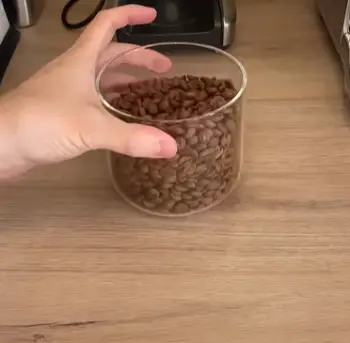 Fellow Atmos Vacuum Canister  