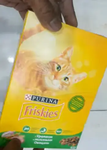 Friskies