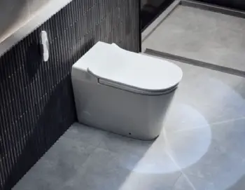 Kohler Leap Toilet 