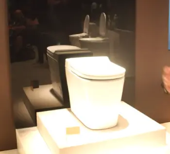 Kohler Leap Toilet  