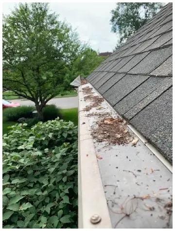  Leaffilter