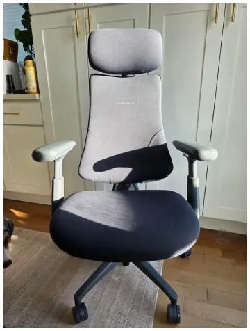 Libernovo Omni Dynamic Ergonomic Chair 