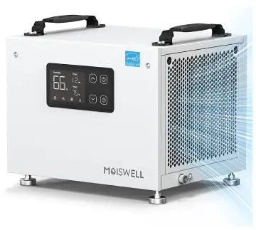 Moiswel 