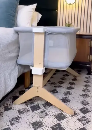 Newton Bassinet