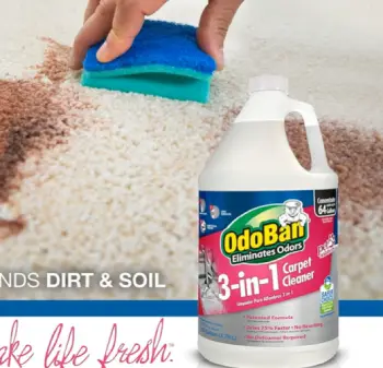 OdoBan 3-in-1 Carpet Cleaner