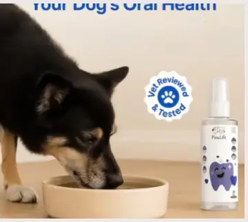 PawLife Dental Plus