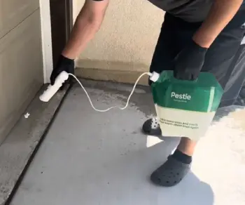 Pestie Pest Control