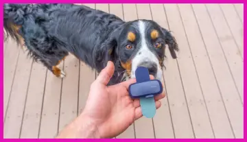 PetLink GPS Tracker