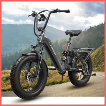 Puckipuppy Electric Bike