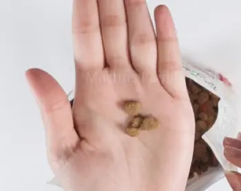  Purina Beyond Cat Food
