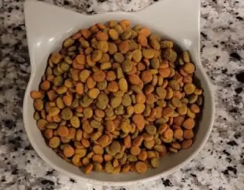 Purina Cat Chow Complete