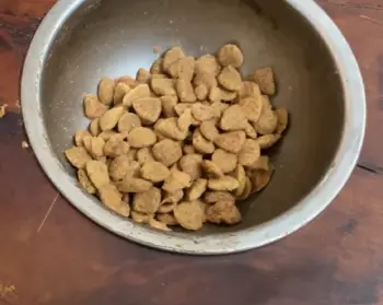 Purina Cat Chow Indoor