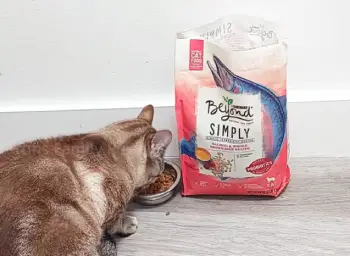 Purina Beyond Cat Food