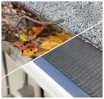 Raptor Gutter Guard 