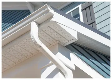Raptor Gutter Guard  