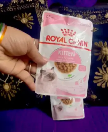   Royal Canin