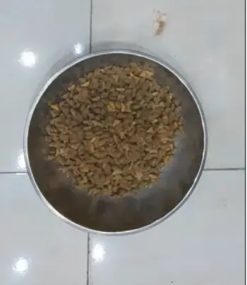 Friskies