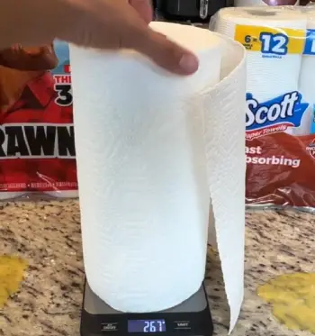 Scott Vs. Bounty Paper Towels