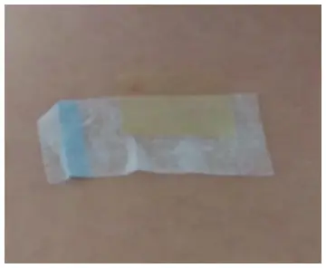 Sefudun Nicotine Patches