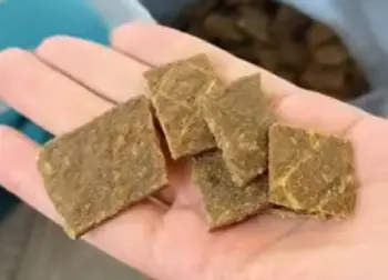 Sundays  Dog Food 