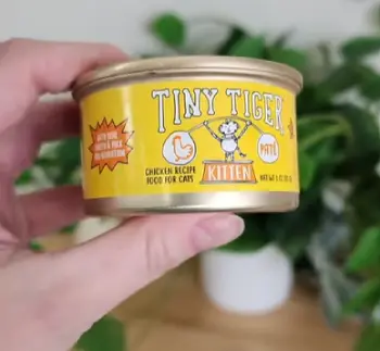 Tiny Tiger
