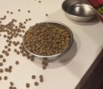 Kirkland Dog Food  