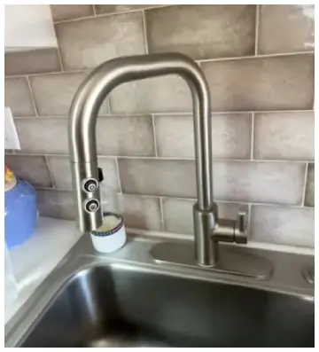 Pfister Zanna Kitchen Faucet