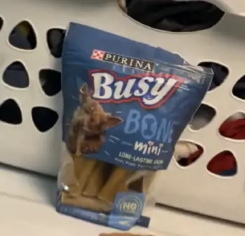 Purina Busy Bone